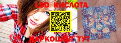 a pvp Бийск