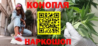 a pvp Бийск