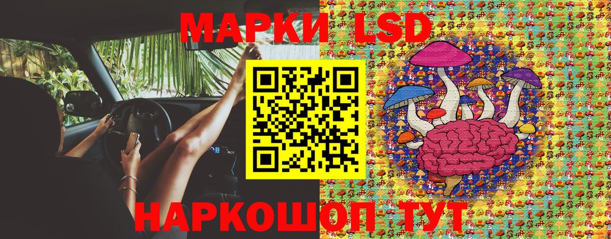 Россия  КОКАИН  Alpha PVP СОЛЬ   LSD-25  Вход с VPN  Гашиш  Меф МЯУ МЯУ  