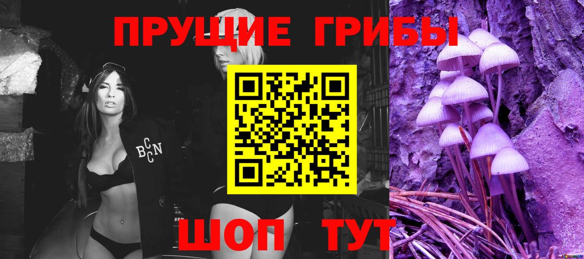 Россия  Псилоцибиновые грибы Magic Shrooms  Псилоцибиновые грибы мицелий  где продают наркотики  Вход с VPN 